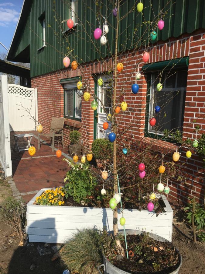 Ferienhaus Staben Eggstedt Dış mekan fotoğraf