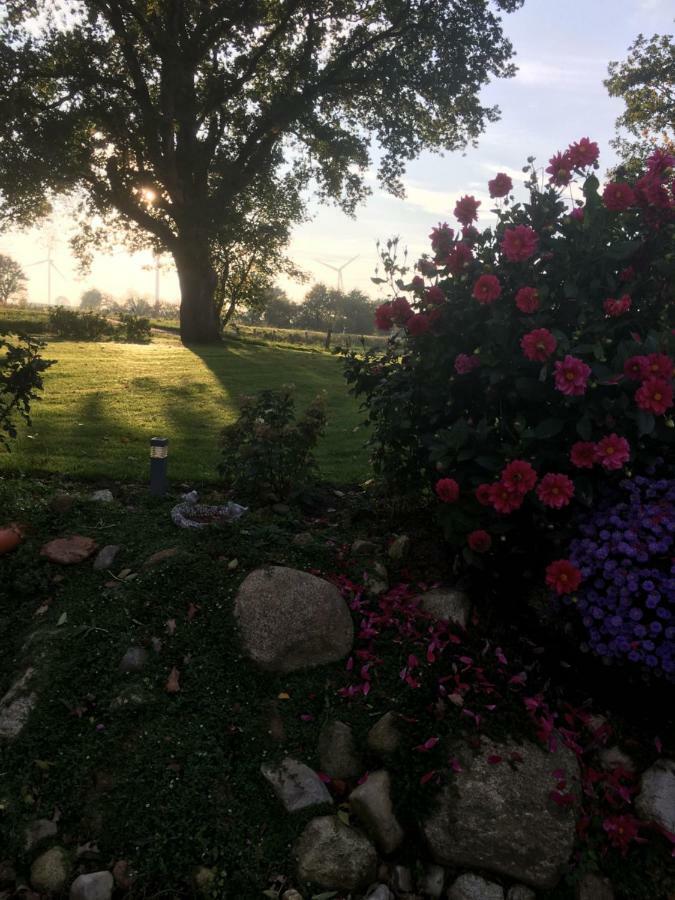 Ferienhaus Staben Eggstedt Dış mekan fotoğraf